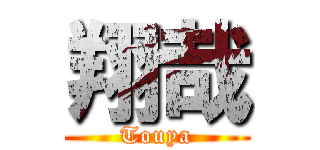 翔哉 (Touya)