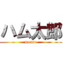 ハム太郎 (mouse)