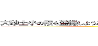 大砂土小の桜を盗撮しようとして６時間が経ちました (未だ体は起きません)