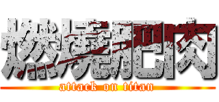 燃燒肥肉 (attack on titan)