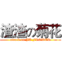 渣渣の菊花 (attack on JU FLOWER)