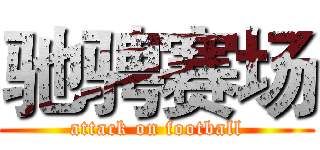 驰骋赛场 (attack on football)