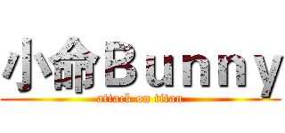 小命Ｂｕｎｎｙ (attack on titan)