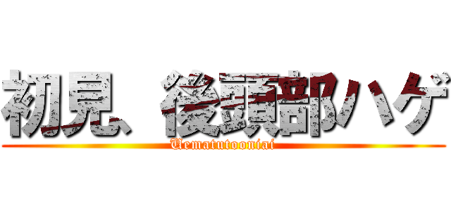 初見、後頭部ハゲ (Uematutooniai)