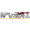 帅气の蛋疼王 (attack on titan)
