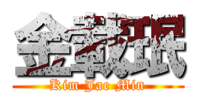金載珉 (Kim Jae Min)