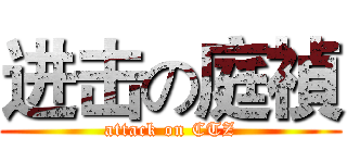 进击の庭禎 (attack on CTZ)