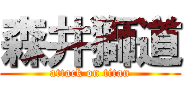 森井獅道 (attack on titan)