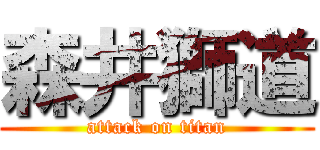 森井獅道 (attack on titan)