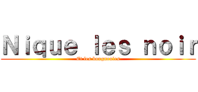 Ｎｉｑｕｅ ｌｅｓ ｎｏｉｒ (Et les bougnoules)