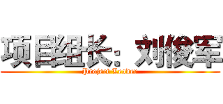 项目组长：刘俊军 (Project Leader)