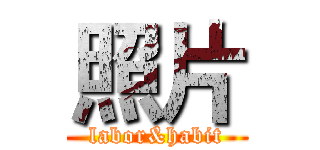 照片 (labor&habit)