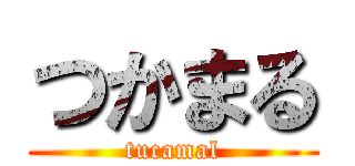 つかまる (tucamal)