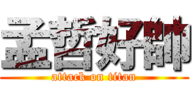 孟哲好帥 (attack on titan)