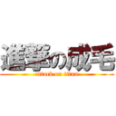 進撃の成毛 (attack on titan)