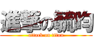 進撃の毓昀 (attack on titan)