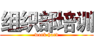 组织部培训 (work hard)