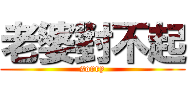 老婆對不起 (sorry)