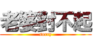 老婆對不起 (sorry)