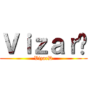 ＶｉｚａｒÐ (VizarÐ)