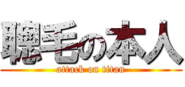 聰毛の本人 (attack on titan)