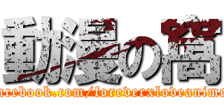 動漫の窩 (facebook.com/foreverxloveanime)