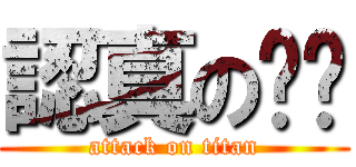 認真の爸爸 (attack on titan)