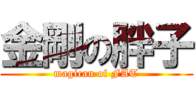 金剛の胖子 (magican of FAT)