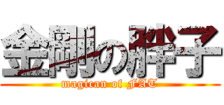 金剛の胖子 (magican of FAT)