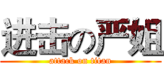进击の严姐 (attack on titan)