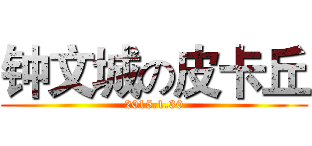 钟文城の皮卡丘 (2015.1.30)