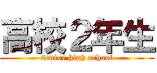 高校２年生 (senior high school)