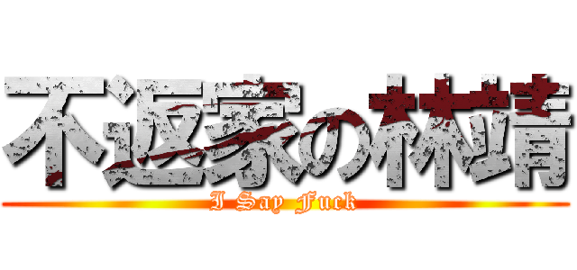 不返家の林靖 (I Say Fuck)
