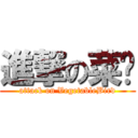 進撃の菜鸟 (attack on VegetableBird)