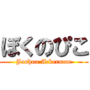 ぼくのぴこ (Joshua Ackerman)