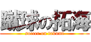 蹴球の拓海 (soccer on takumi)