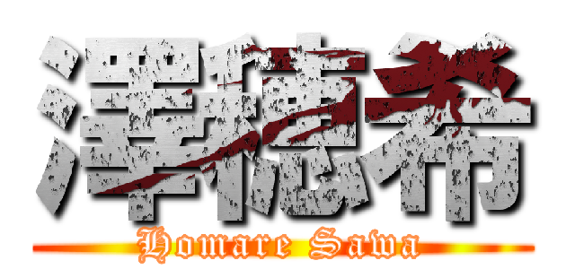 澤穂希 (Homare Sawa)