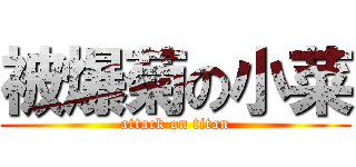 被爆菊の小菜 (attack on titan)