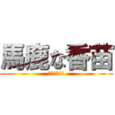 馬鹿な香苗 (かなはアホだ)