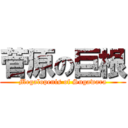 菅原の巨根 (Megalopenis of Sugawara)