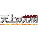 天上の尤物 (attack on titan)