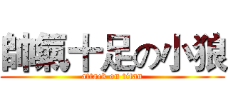 帥氣十足の小狼 (attack on titan)