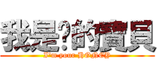 我是你的寶貝 (I\'m your HONEY)