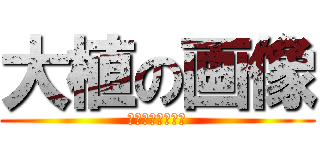 大植の画像 (禁断のギャラリー)