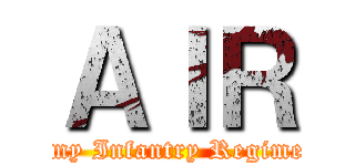 ＡＩＲ (Army Infantry Regiment)