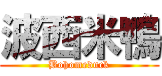 波西米鴨 (Bohomeduck)