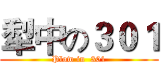 犁中の３０１ (Plow in  301)