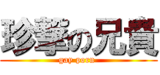 珍撃の兄貴 (gay porn )