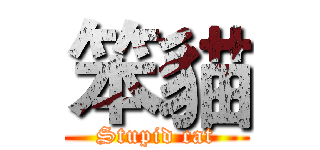 笨貓 (Stupid cat)