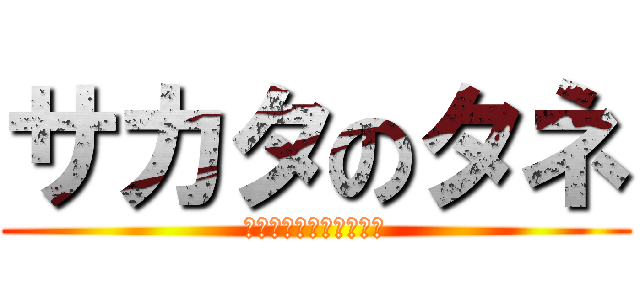 サカタのタネ (ひまわりとチューリップ)